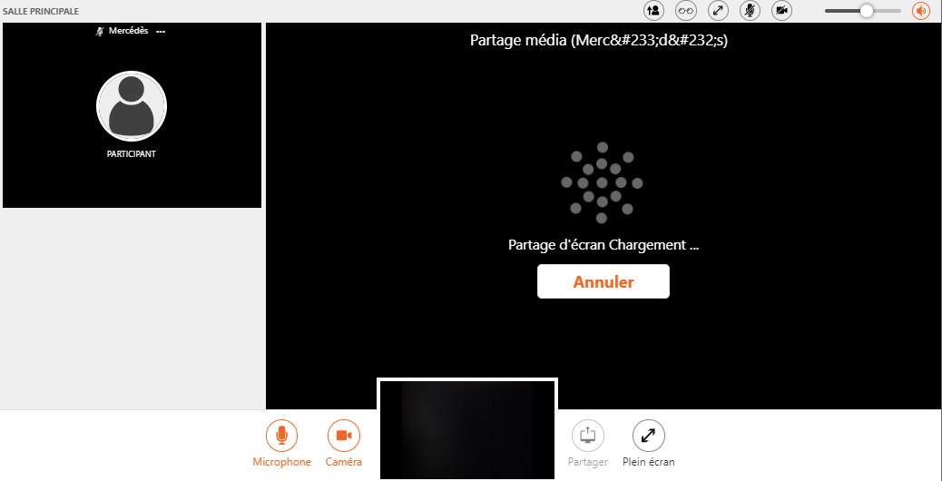partdagedecran10.PNG