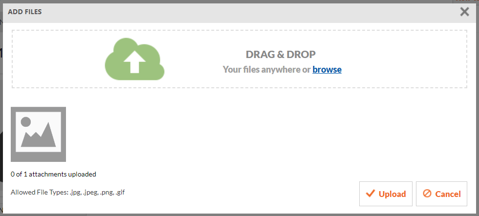 boardprofilepart2024.4.PNG